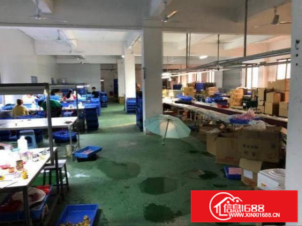 凤岗嘉辉豪庭附近二楼厂房出租刷绿地坪漆