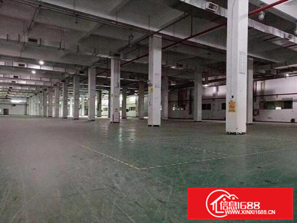 高埗工业区2楼2000平米独院标准厂房招租空地集中，有部分绿