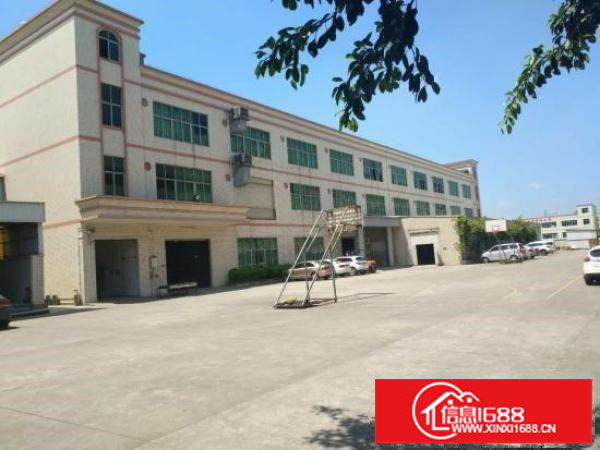 坪山碧岭楼上480平原房东厂房出租公摊小