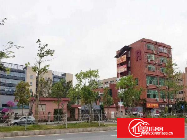 出租龙岗区坂田可办公/可生产/可做联合办公