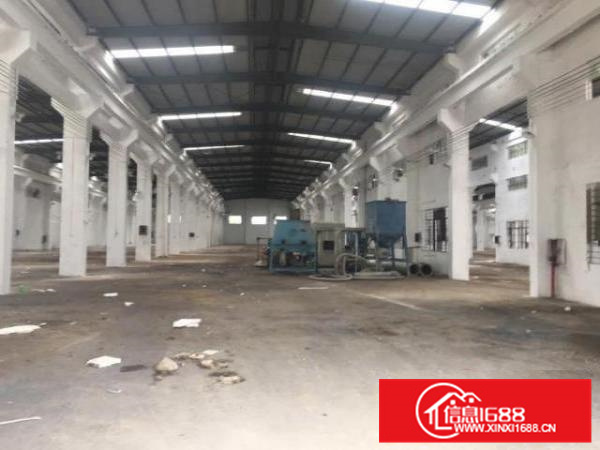 原房东厂房招租，独门独户形象好