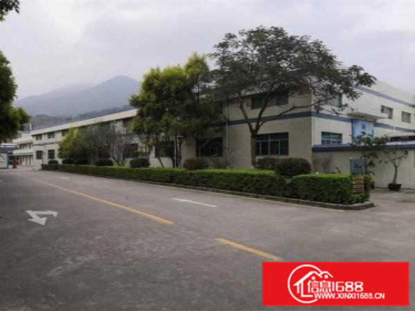 常平镇新出小独院带牛角带办公室3000平