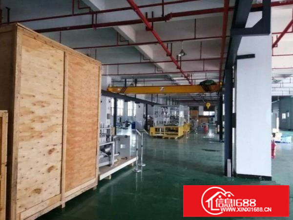 龙岗南约原房东厂房出租一楼6米高1300平可分租