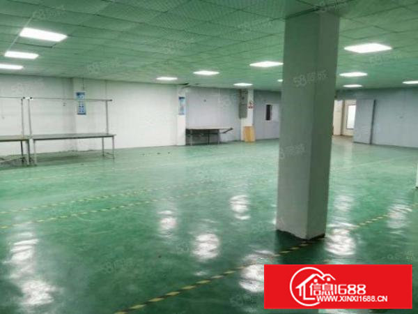 谢坑东成街2号二楼600平米，带地坪漆吊顶，精装修办公室