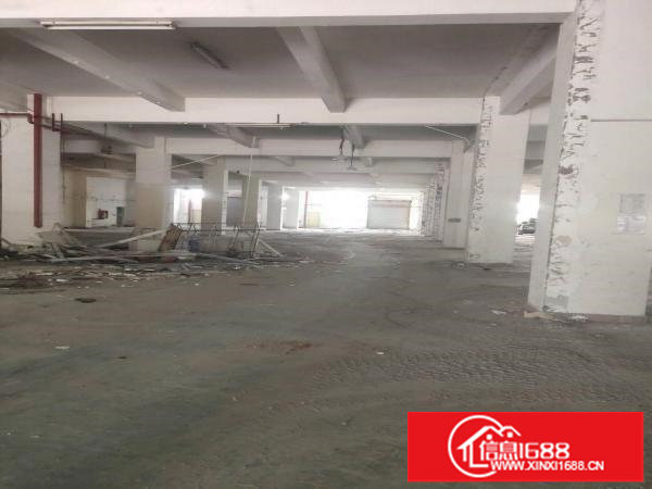 坂田上李朗独栋厂房300平米起大小分租车位足仓库电商电子等等