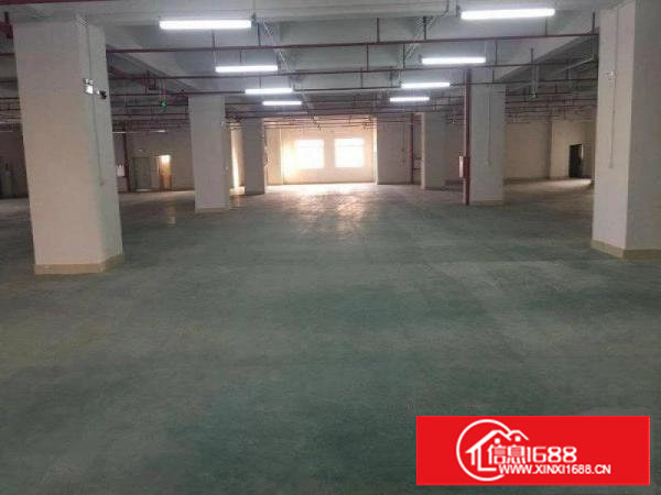 厂房招租4楼带货梯水电齐全2700平米招租