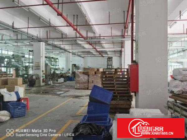 梅观高速口工业园2500首层6米高300平分租整租