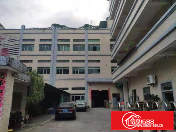 大基工业区标准一楼出租1800平方6.8米带牛腿现成办公室