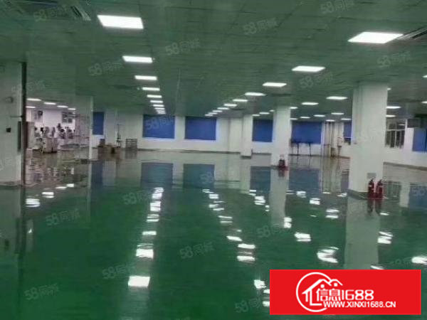 黄江镇梅塘社区工业区原房东独院12000平方实际面积出租可分