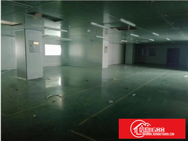 大岭山新出三楼厂房十万级无尘车间2600平方