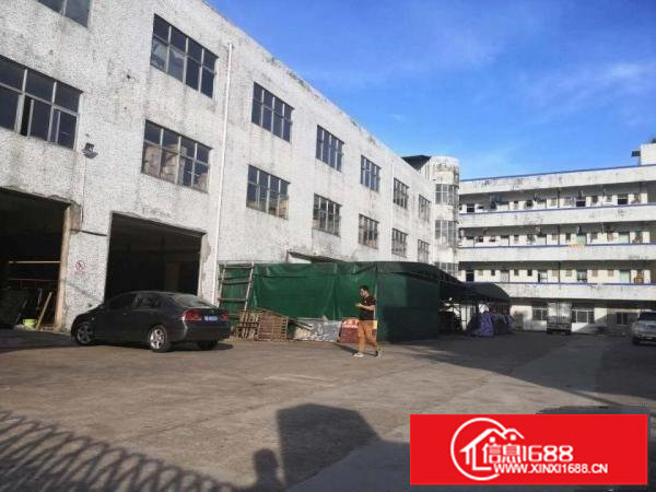 布吉新空一楼出标准带办公室800平方层高5.3米厂房出租