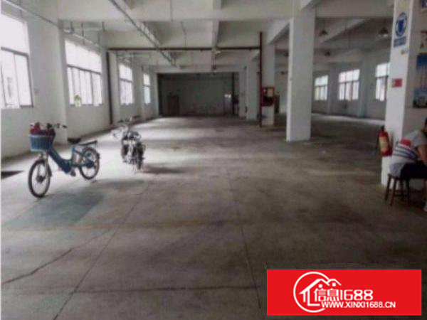 平湖白泥坑新出一楼标准厂房900平水电齐全空地大