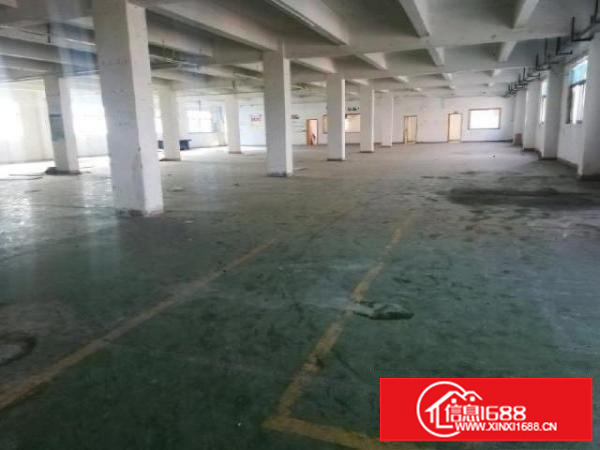 平湖海吉星附近厂房三楼1550平大小分租