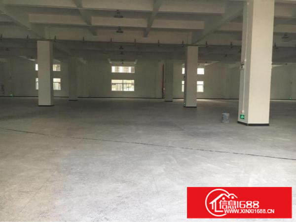 大岭山镇800平方标准一楼厂房出租