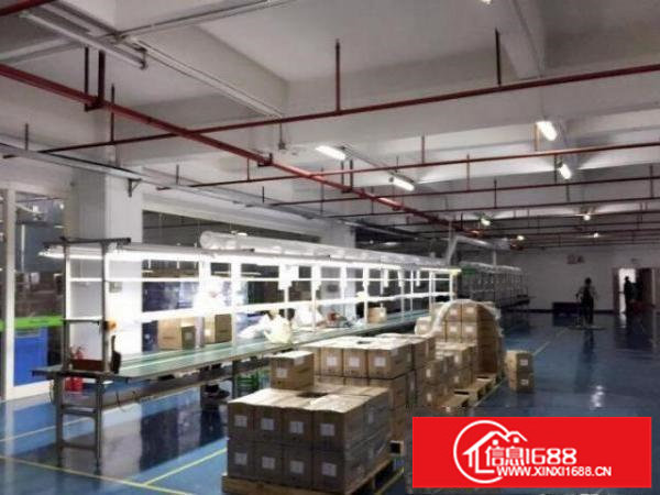 坂田原房东厂房楼上2000平方带装修急租！价格便宜