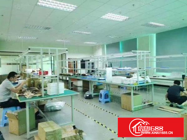 厦边新出二楼带豪华装修900平方米厂房出租