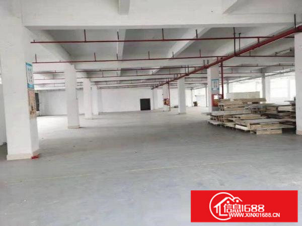 带装修急租大朗沙步一楼1500平方厂房大小可分租