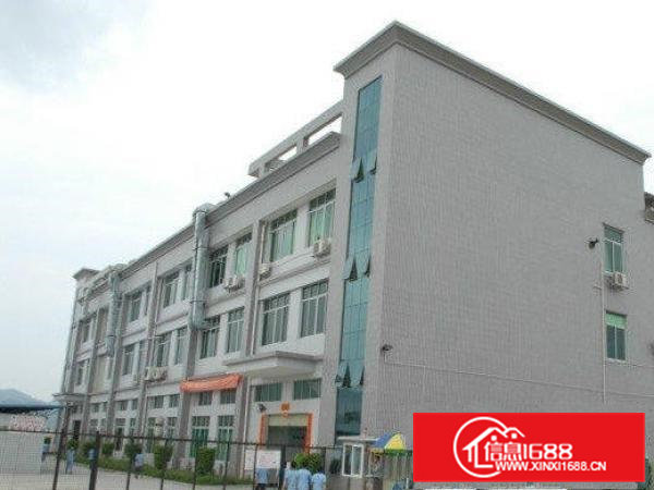 常平朗洲新出一楼1500平方火爆出租空地大