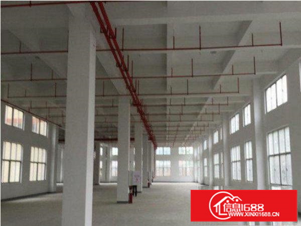 平湖清平高速标准一楼厂房900平方招租带办公室