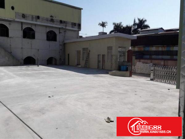 塘厦镇林村新出独院厂房出租可分租