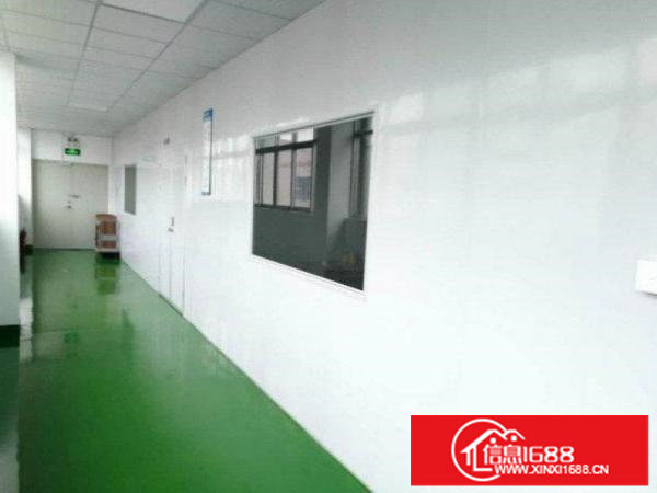 南联村工业园640平厂房带全新地坪漆出租，无尘车间