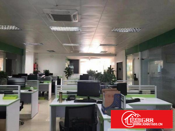 横岗六约楼上带装修电商500平出租