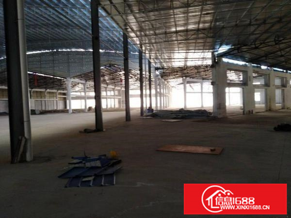 独门独院漂亮厂房出租