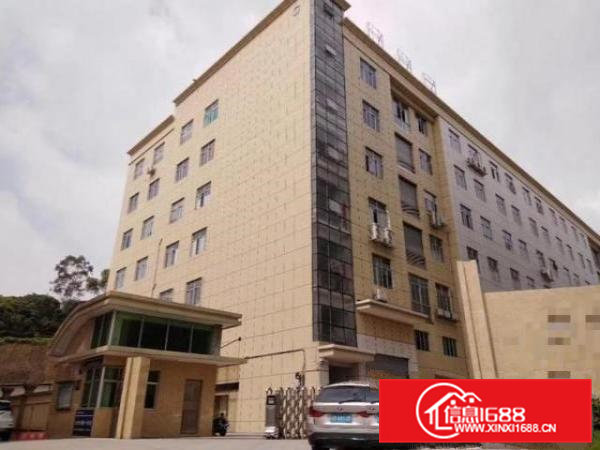 大岭山杨屋村原房东全新独院厂房7500平米