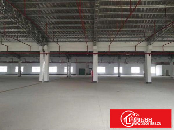 新圩新出钢构加标准厂房21690平，带现成办公室