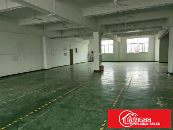 龙岗坂田上雪科技园空出带装修厂房1350平