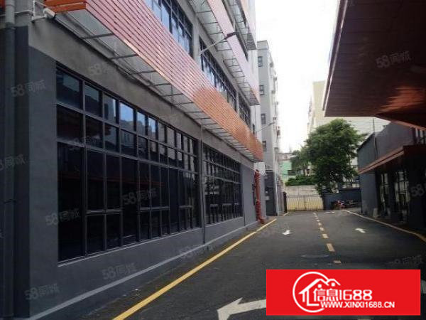 龙岗吉祥地铁站附近楼上原房东带电梯精装修200平米出租