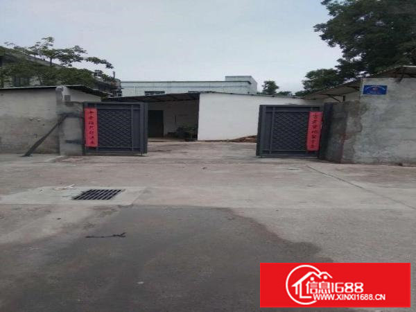 平湖鹅公岭单层550平方独门独院出租，要求工程，门窗等行业