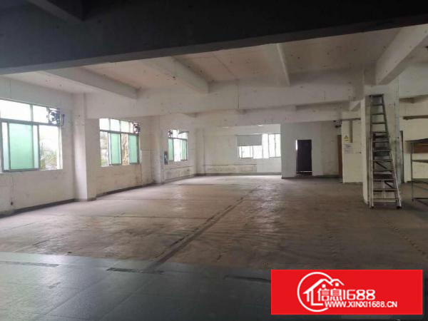 出租带货梯空厂房、办公楼、仓库，24小时保安保洁，分层招租整