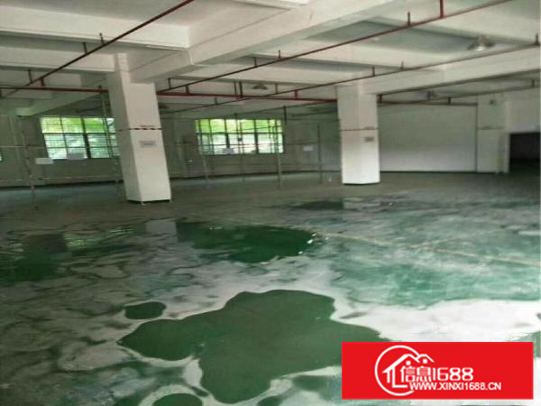 仲恺惠环陈江小独院厂房出租