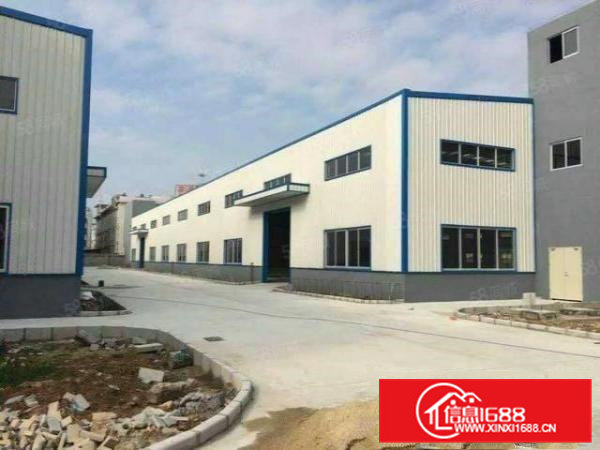 大岭山向东新出单一层钢结构厂房出租