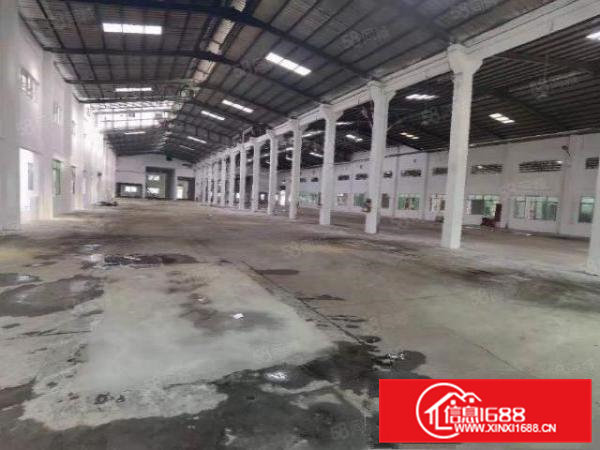 临深片区砖墙到顶钢结构厂房4栋13000平方米可分栋出租