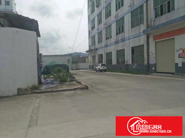 龙岗坪地北通道边原房东一楼厂房1600平出租空地大可分租