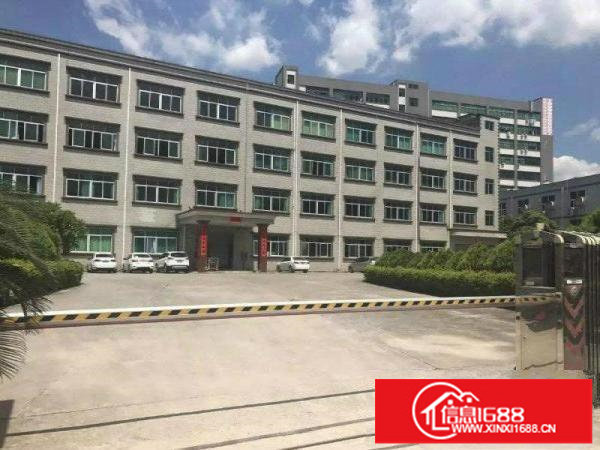 观澜新田新丰工业区厂房原房东楼上1500平方带装修