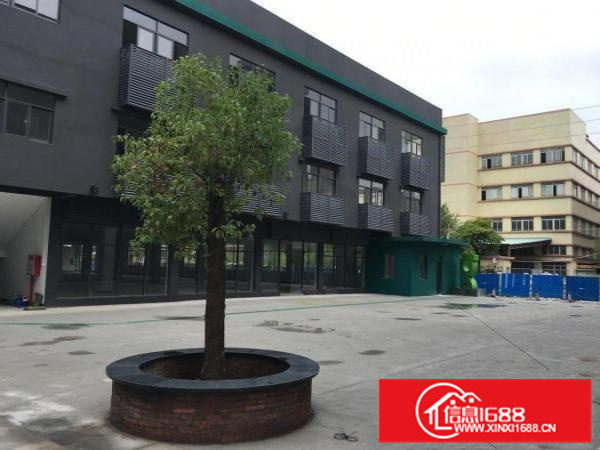 园洲独门独院花园式标准厂房出租6850带精装修可办环评