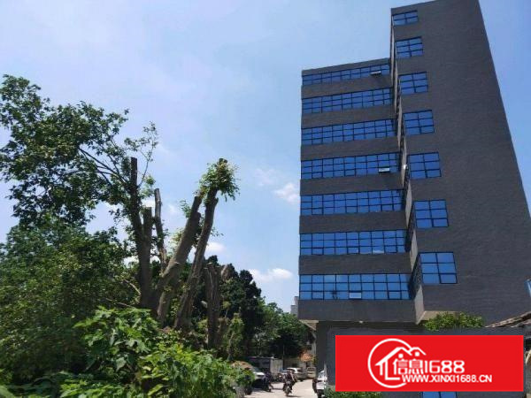 里水佛山一环全新厂房10425平米大小分租