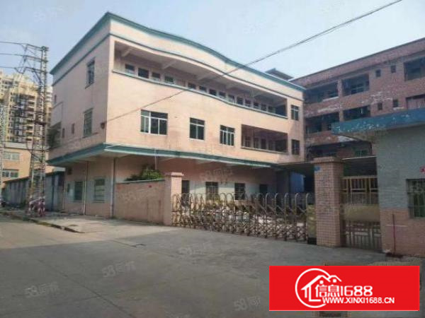 万江简沙洲楼房独院2500平方，空地超大