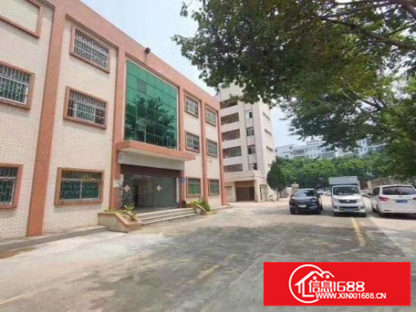 观澜一栋办公楼展厅厂房出租三层1100平方带装修