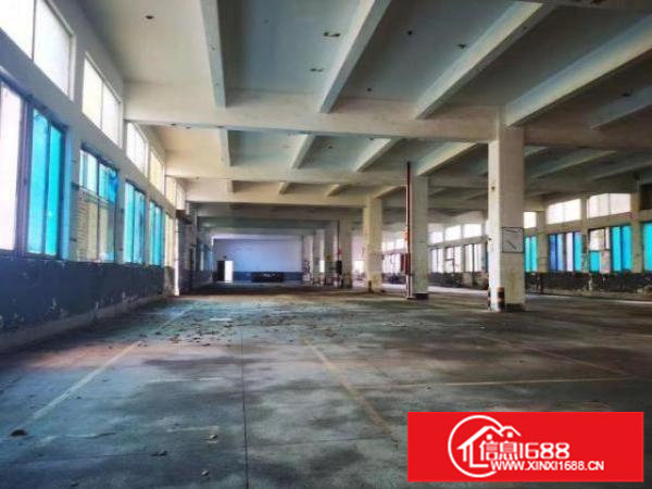 物业直租丹竹头一楼3100平二楼800平厂房35元一平方