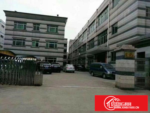 原房东独院标准厂房3300平方现代化厂房