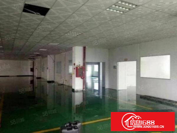 松岗东方700平无公摊厂房出租，面积实在形象好