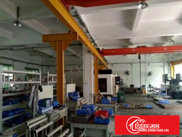 朗洲原房东一楼580平方独门独院带航车厂房招租