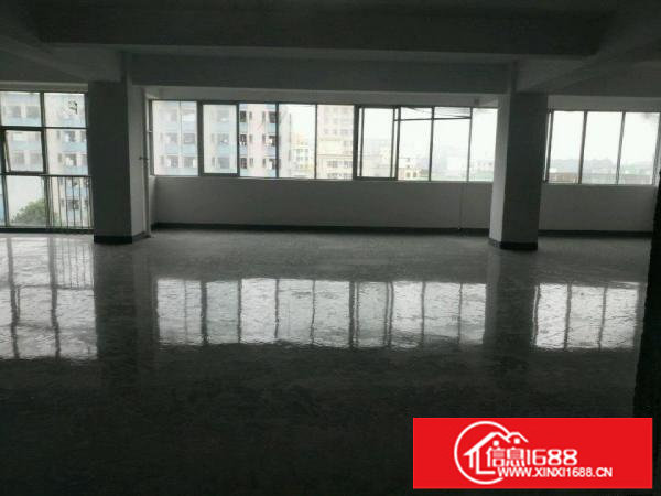 坂田五和办公/厂房出租面积200~1000平米