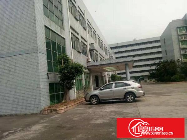 出租布吉百鸽笼标准厂房一楼760平，拎包入住