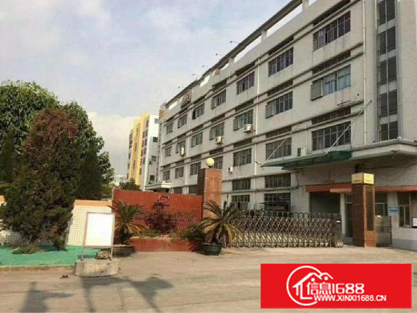 横岗地铁站500米电子厂2800平方可分租