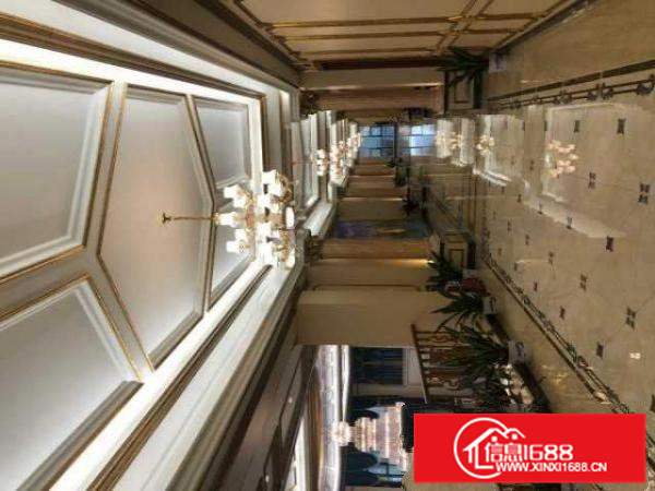 出租高明区明城豪华精装综合楼带员工宿舍